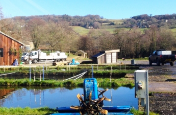 leadmilltroutfarm-inside-10