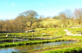 leadmilltroutfarm--inside-12