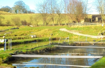 leadmilltroutfarm--inside-16