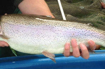 leadmilltroutfarm--inside-2