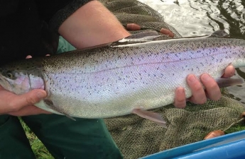 leadmilltroutfarm--inside-3