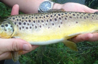 leadmilltroutfarm--inside-4