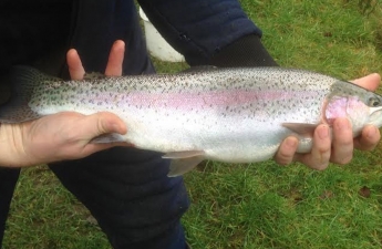 leadmilltroutfarm--inside-6