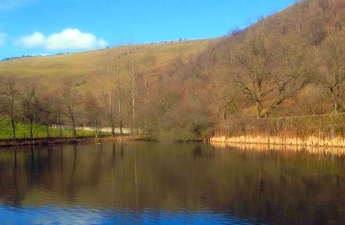 leadmilltroutfarm--inside-7