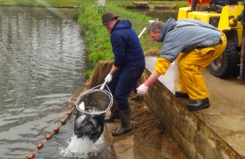 leadmilltroutfarm--inside-9